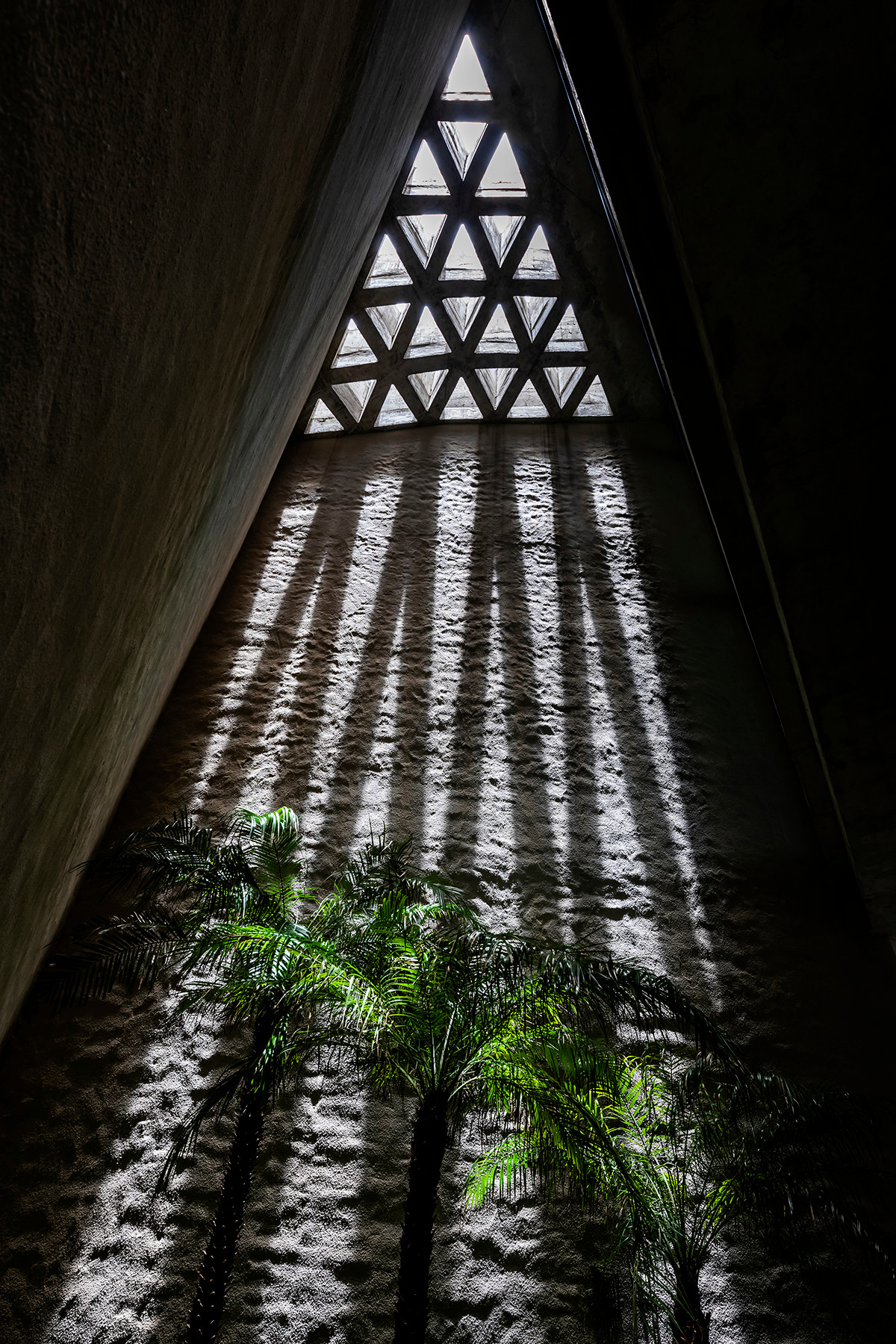 Phần mái phía trên được thiết kế với các lỗ hình tam giác, vừa cung cấp nước tưới tự nhiên, vừa tạo ra những bóng sáng với hoa văn ấn tượng và thay đổi liên tục trên tường. Nguồn ảnh: Hiroyuki Oki