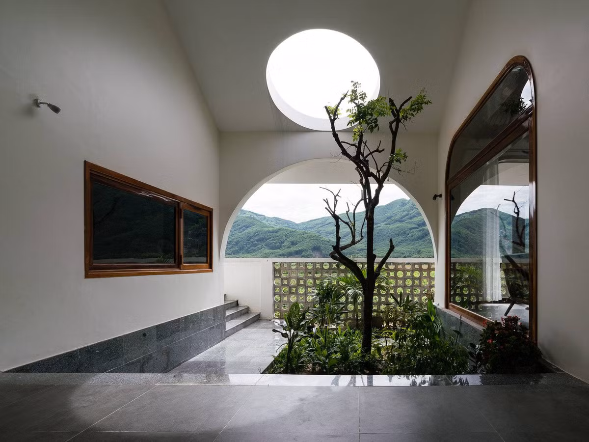 Khu vườn nhỏ tại hành lang cung cấp ánh sáng và luồng gió mát lành thông qua cây thân gỗ.