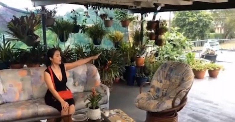 Trên tầng, không gian nhà Cát Tường được thiết kế khá thoáng và đẹp, có nhiều cây xanh. Ảnh chụp màn hình