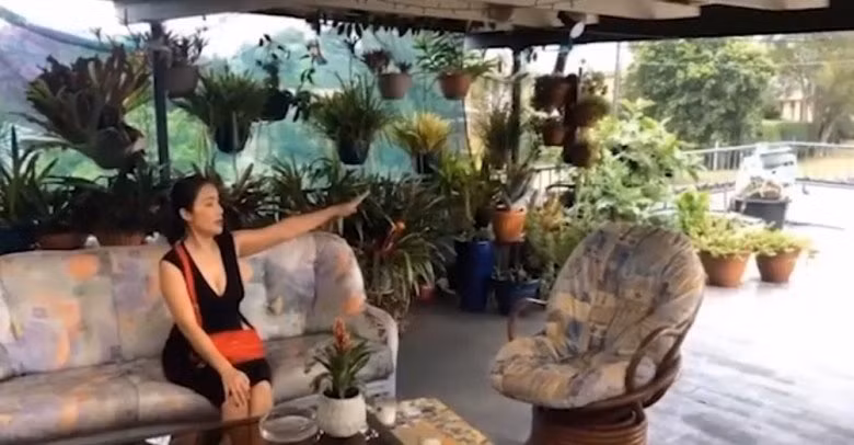 Trên tầng, không gian nhà Cát Tường được thiết kế khá thoáng và đẹp, có nhiều cây xanh. Ảnh chụp màn hình