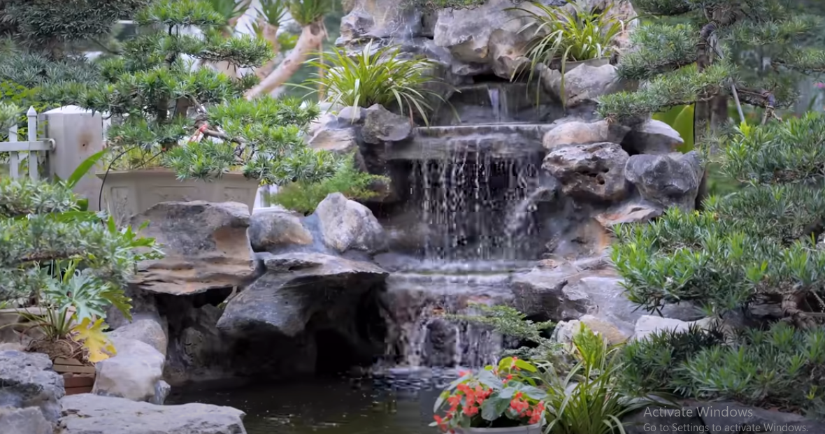 Không gian sân vườn chiếm diện tích khoảng 300m2, riêng khu vực bể cá Koi khoảng 100m2.