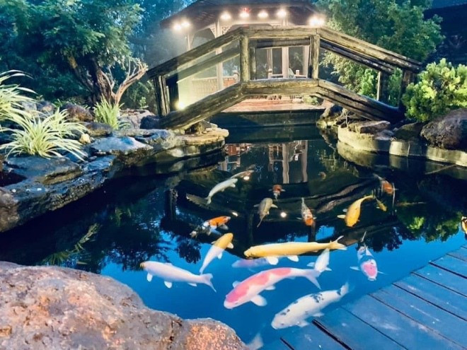 Đặc biệt, trong biệt thự, Hoàng Mập xây một hồ cá Koi bạc tỷ. Ảhh: Facebook