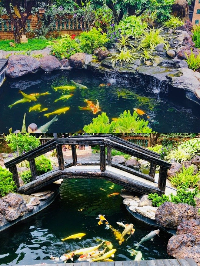 Nam diễn viên đã tốn khoảng 1 tỷ đồng để xây hồ bằng đá tự nhiên, lắp hệ thống máy mọc nước. Ảhh: Facebook