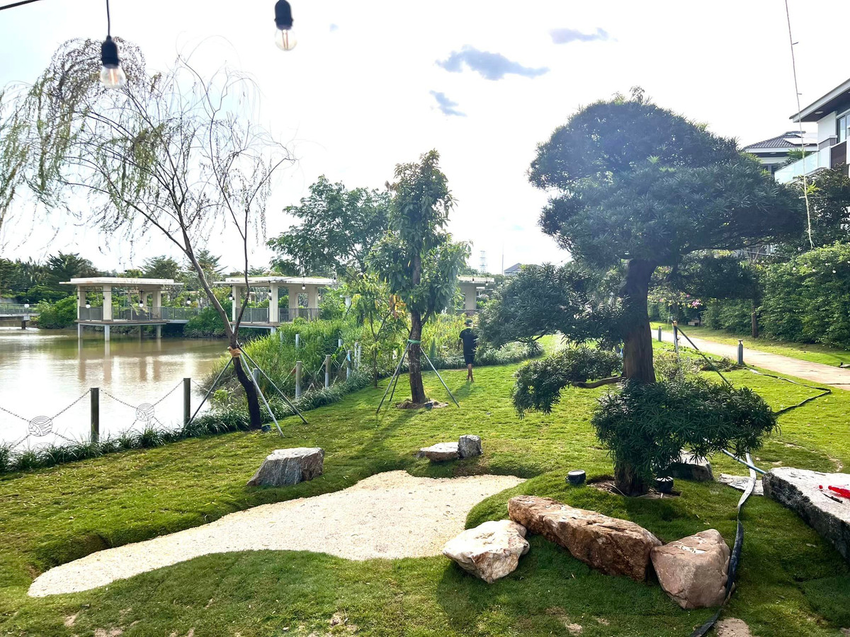 Những ngày giao mùa chuyển vào thu, khu vườn trong biệt thự của Cao Thái Sơn đẹp hơn bao giờ hết.