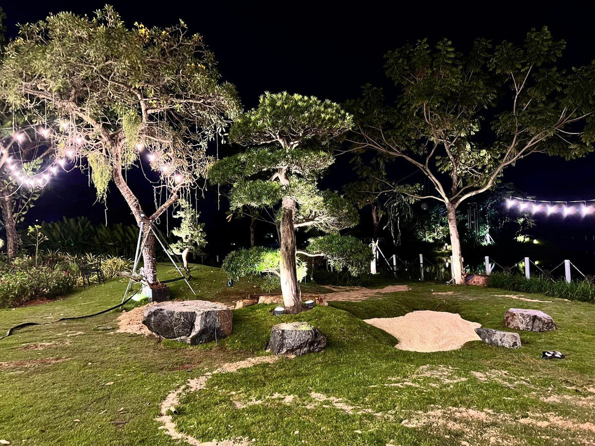 Khu vườn được trồng thêm rất nhiều cây cảnh và hoa.