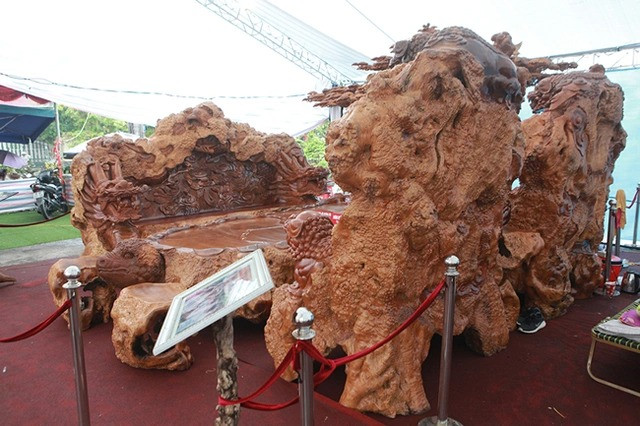 Theo tiết lộ của chủ nhân, bộ bàn ghế làm hoàn toàn bằng gỗ nu đinh hương nghìn năm tuổi, quý hiếm trị giá tới 5 tỷ đồng. Ảnh: Dân Việt