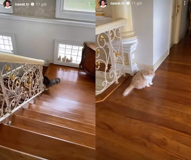 Từng chi tiết đều toát lên độ giàu có của ông Nawat Itsaragrisil. Ảnh: Tiktok