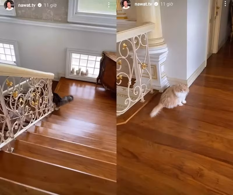 Từng chi tiết đều toát lên độ giàu có của ông Nawat Itsaragrisil. Ảnh: Tiktok