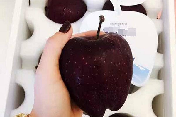 Ngoài màu sắc độc đáo, táo kim cương đen còn được ca ngợi là loại táo ngon ngọt nhất thế giới, với lượng đường glucose cao gấp đôi đến gấp ba loại táo xanh hoặc đỏ bình thường. Ảnh: Mashed