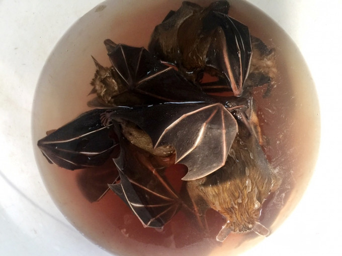 Các món ăn từ đặc sản thịt dơi như xào lăn, dơi băm, nấu cháo...được dân nhậu đặc biệt yêu thích. Ảnh: Nông nghiệp