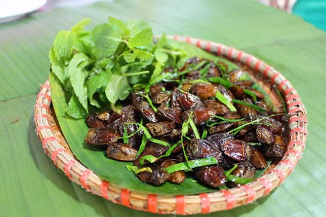 Vào mùa, người dân dùng xô chậu, lên vườn nhãn bắt những con bọ xít non về chế biến thành các món ăn khoái khẩu như xào măng chua, rang lá chanh...Ảnh: Facebook