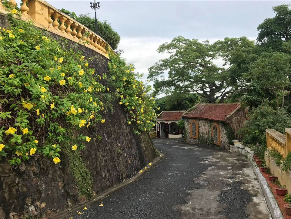 Lối lên dinh thự là con đường nhỏ uốn lượn theo sườn đồi, có nhièu hoa và cây leo ở hai bên. Ảnh: Lao động