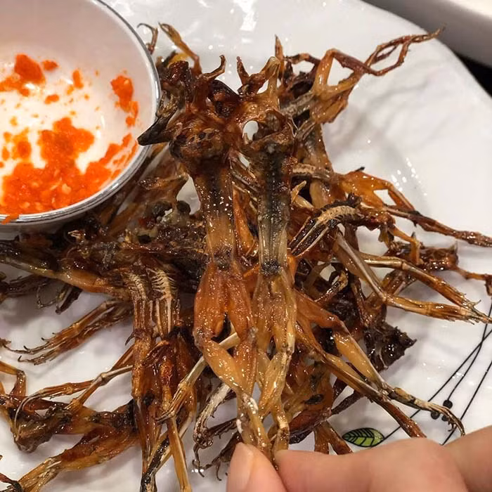 Trung bình khoảng 4kg nhái tươi sẽ cho ra thành phẩm 1kg nhái khô (tương đương 800 - 1000 con). Vì độ hao khá lớn nên nhái khô có giá dao động từ 500.000 - 700.000 đồng/kg, tuỳ loại và kích cỡ. Ảnh: Internet