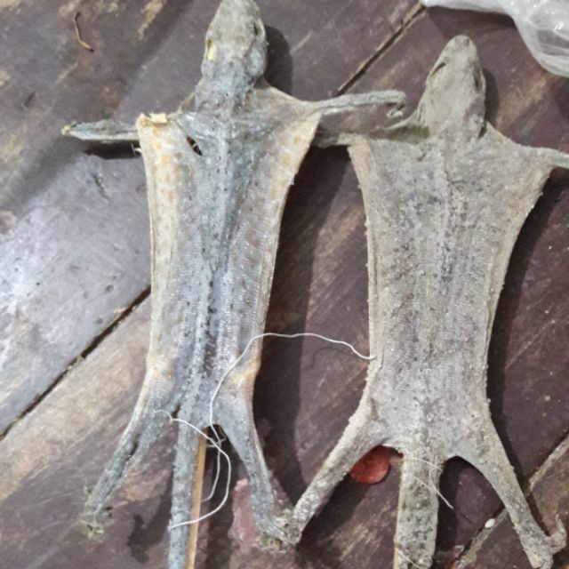 Mặc dù có vẻ ngoài khá "dị" nhưng từ lâu khô tắc kè đã được tương truyền là món ăn bổ dưỡng tăng cường sinh lực phái mạnh. Ảnh: Shopee