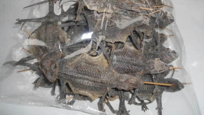 Tắc kè khô được bán theo con, mỗi con giá khoảng 45.000 - 50.000 đồng. Tính ra mỗi kg giá lên tới vài trăm nghìn đồng. Ảnh: Internet