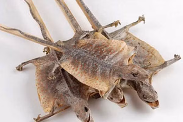 Khô tắc kè được sản xuất nhiều tại vùng Tịnh Biên (An Giang), có thể nướng, ngâm rượu hoặc xào với các gia vị. Ảnh: Internet