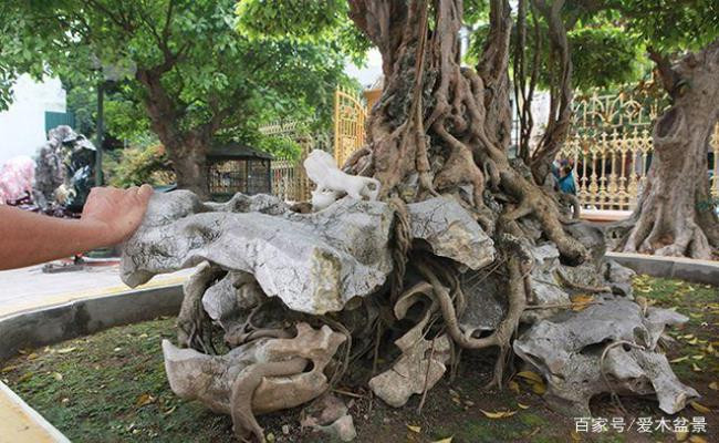 Gia đình ông từng phải bỏ ra cả chục tỷ đồng để sở hữu siêu này. Ảnh: Sina