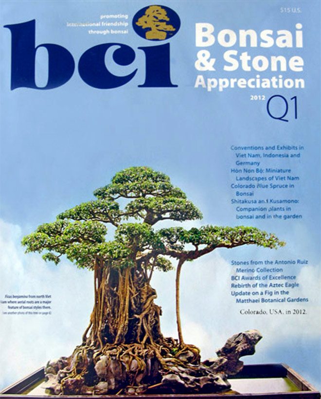 Năm 2012, siêu cây "Mâm xôi con gà" của đại gia đất Việt Trì đã được lên trang bìa của tạp chí về nghệ thuật chơi cây cảnh BCI của Mỹ. Ảnh: BCI