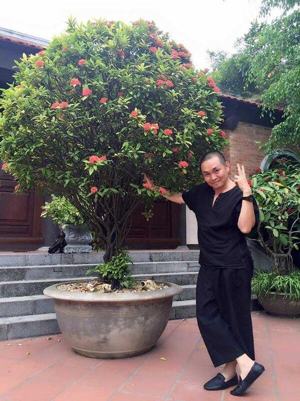 Không gian phía trước nhà được bài trí nhiều cây xanh. Ảnh: Tiền phong