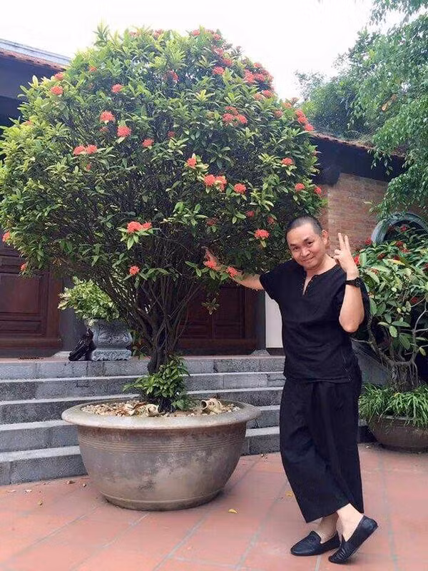 Không gian phía trước nhà được bài trí nhiều cây xanh. Ảnh: Tiền phong