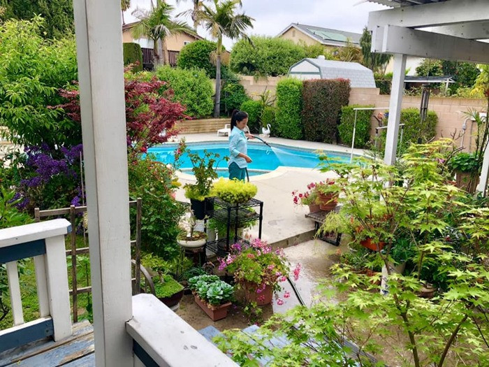 Ngoài cây xanh và hoa, nghệ sĩ Hồng Đào còn thiết kế một hồ bơi lớn.
