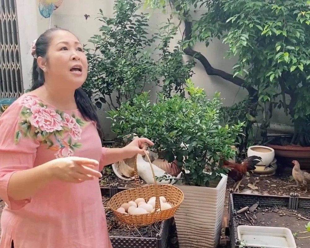 Ngoài cây cảnh, NSND Hồng Vân còn nuôi cả gà. Ảnh chụp màn hình