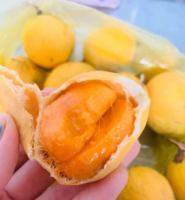 Xưa kia, loại quả dại này không được nhiều người biết đến nhưng nay là đặc sản được "săn lùng" với giá hơn 200.000 đồng/kg. Ảnh: Printest