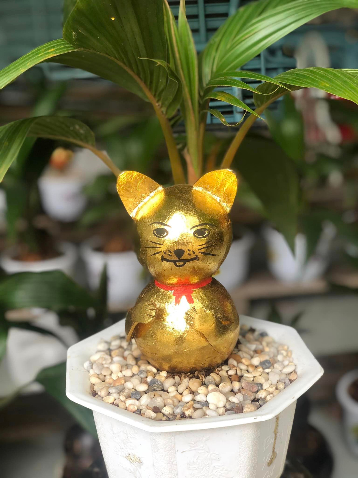 Những chậu dừa bonsai hình mèo dát vàng cũng đang thu hút sự chú ý của khách hàng. Ảnh: Facebook