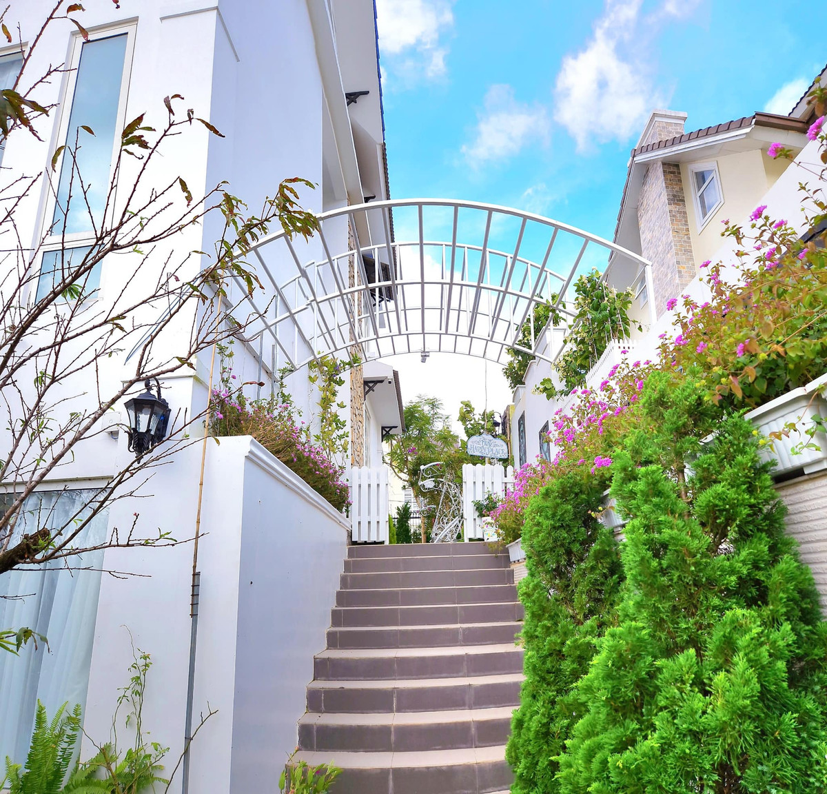 Kiều Linh còn tạo nên một khu vườn tràn ngập các loại hoa cô yêu thích.