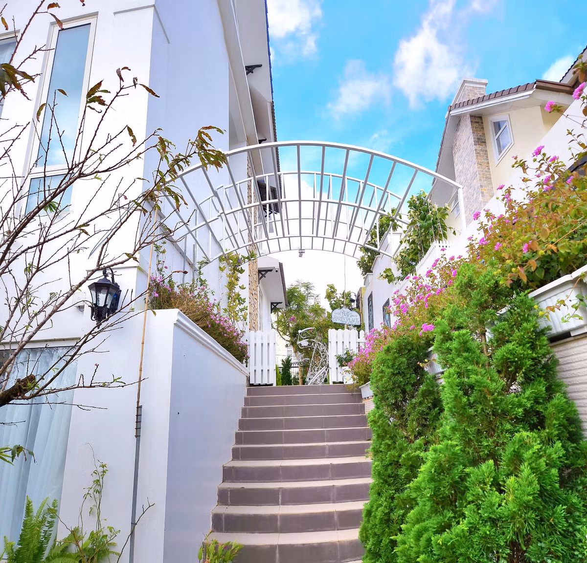 Kiều Linh còn tạo nên một khu vườn tràn ngập các loại hoa cô yêu thích.