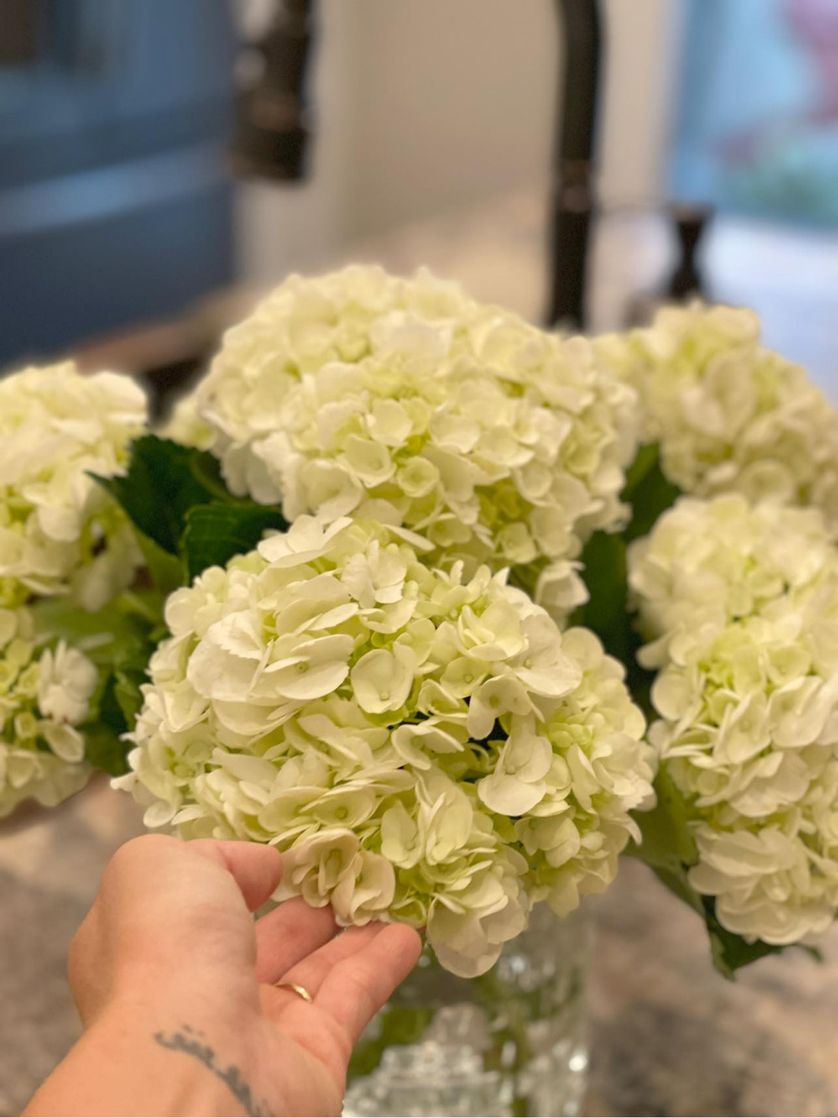 Diễn viên Kim Hiền tạo điểm nhấn cho không gian sống bằng những chậu cây, hoa tươi đẹp mắt.