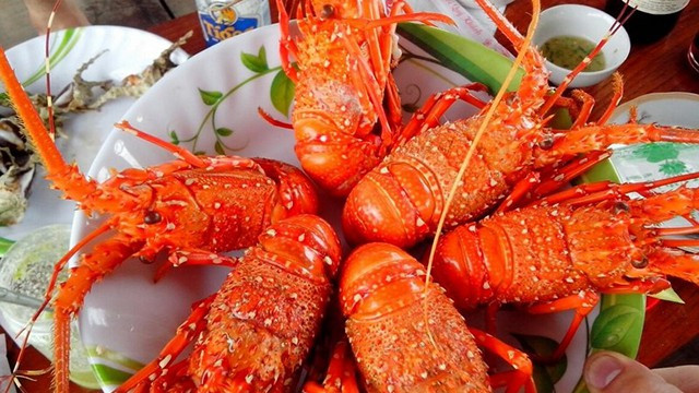 Thực đơn tiệc cưới còn có tôm hùm Nha Trang bỏ lò phô mai comte. Tôm hùm Nha Trang là đặc sản nổi tiếng với giá bán từ 1,2 - 1,5 triệu đồng/kg với loại tôm hùm to (600 - 1kg). Ảnh: Vntrip