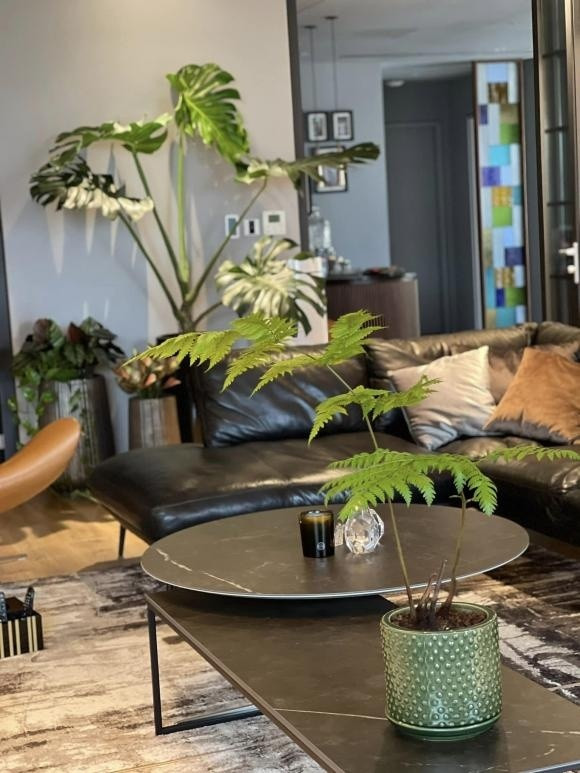 Góc khác xanh mướt trong căn hộ của MC Thành Trung. Ảnh: FBNV