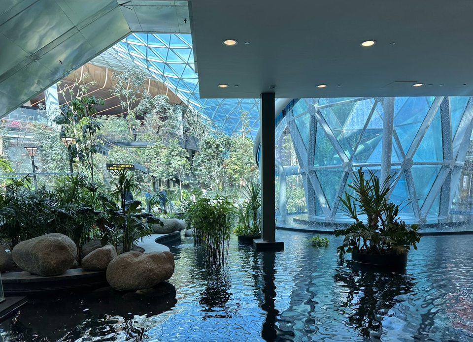 Một điểm nhấn nữa là khu bồn nước rộng 575 m2, với nhiều loại cây thủy sinh được đặt bên trong. Ảnh: Doha News