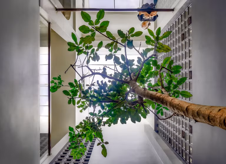 Đó là khoảng thông tầng, mái hiên phụ, hành lang 2 lớp giúp cân bằng nhiệt cho ngôi nhà. 