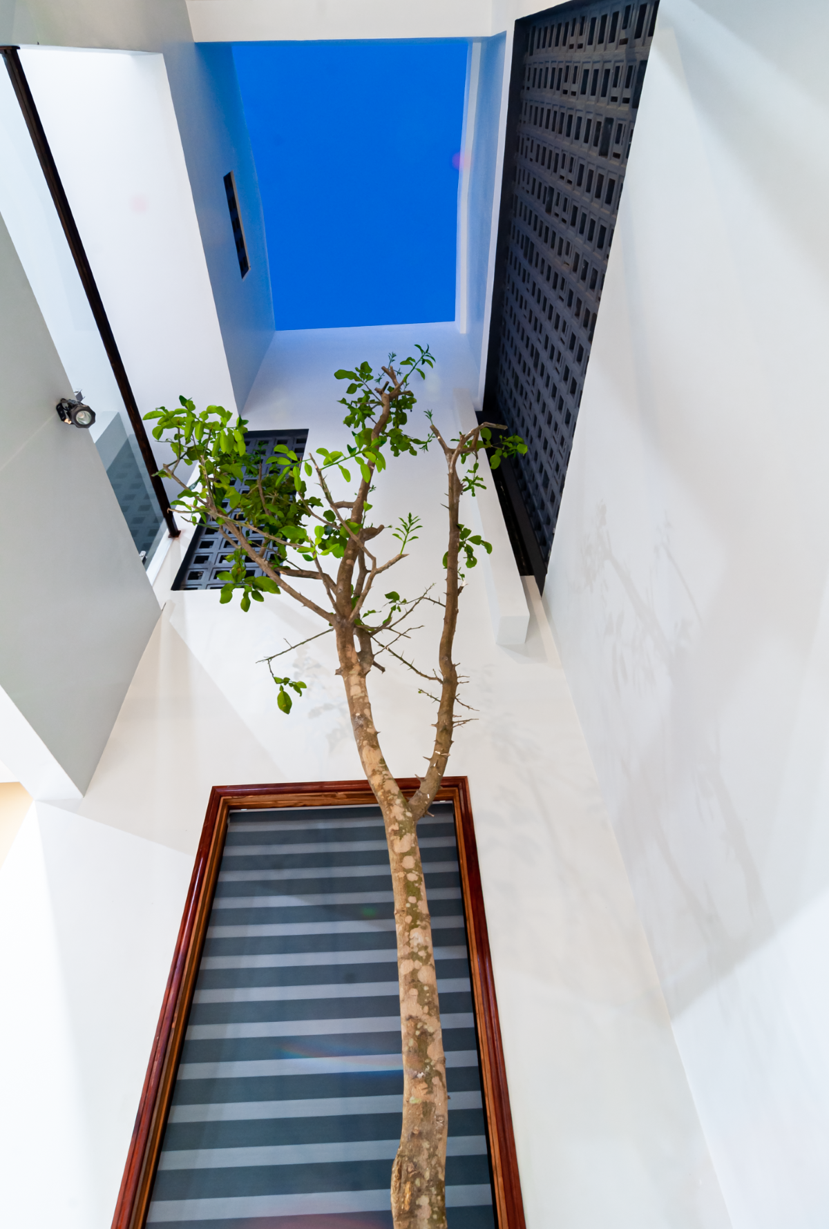 Khoảng thông tầng kết hợp cây xanh ở giữa đảm bảo vừa đủ để đối lưu không khí nhưng ngăn không cho gió lạnh lùa vào.