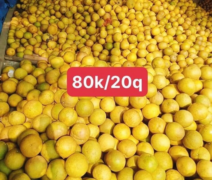 Trong đó, phải kể đến bưởi Soi Hà có giá chỉ từ 3.000 - 5.000 đồng/quả. Ảnh: Người đưa tin