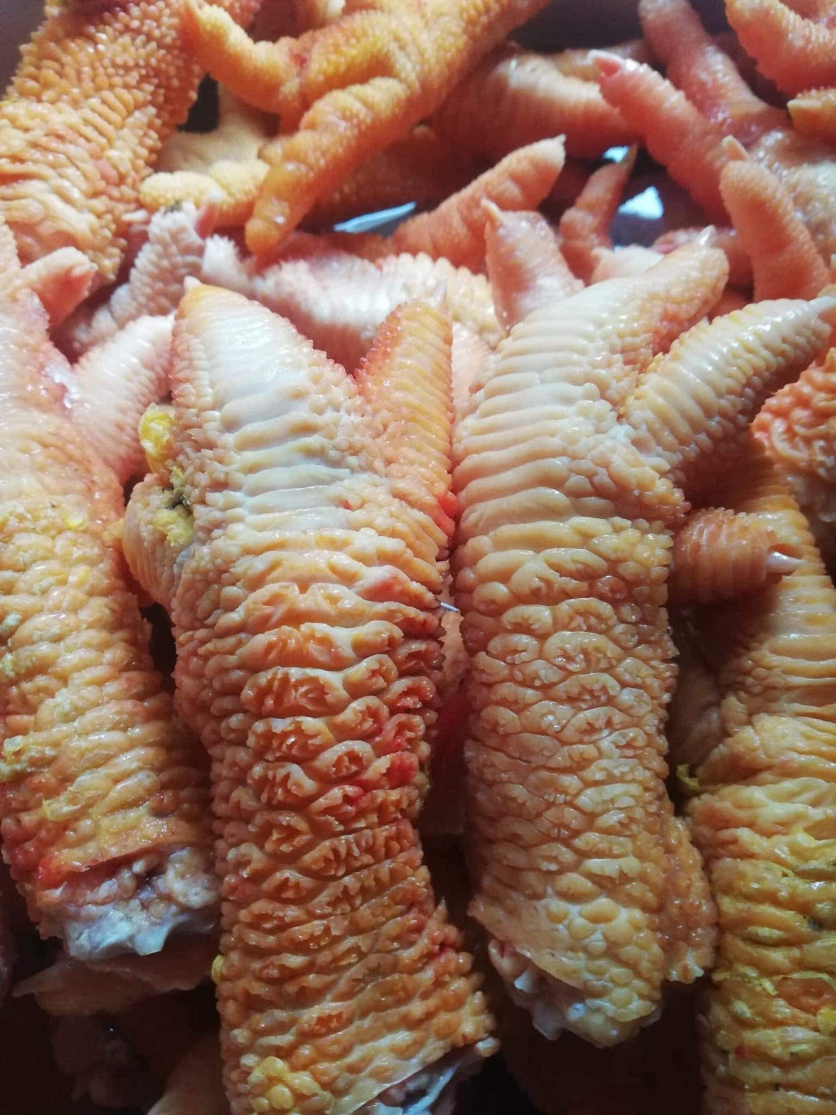 Gà Đông Tảo thường dễ mắc bệnh vào những tháng cuối năm. Do đó, các trại nuôi gà sẽ cắt chân gà bán với mong muốn thu lại lợi nhuận. Ảnh: Facebook