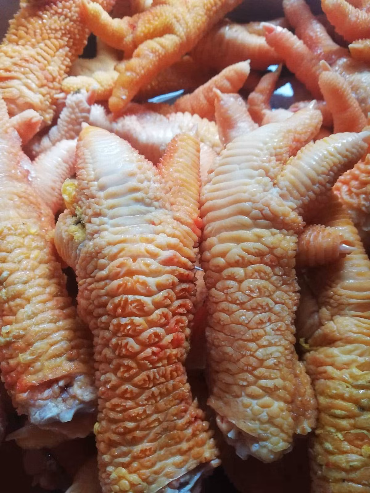 Gà Đông Tảo thường dễ mắc bệnh vào những tháng cuối năm. Do đó, các trại nuôi gà sẽ cắt chân gà bán với mong muốn thu lại lợi nhuận. Ảnh: Facebook