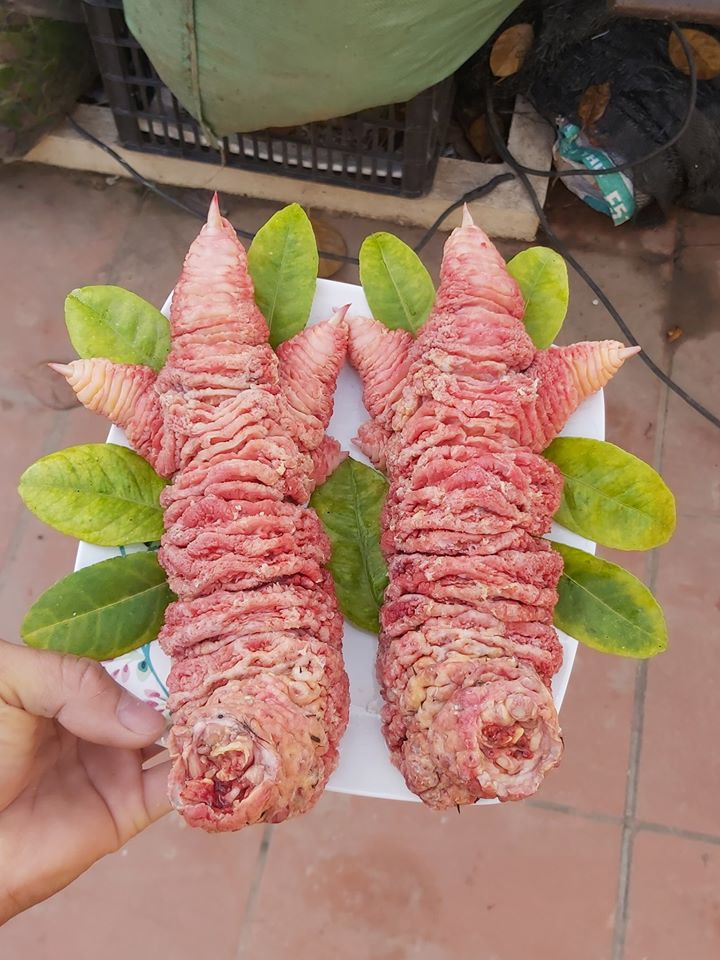 Bởi, gà Đông Tảo Chân to thường quý hiếm và có giá trị cao nên không dễ gì người mua lại cắt chân để bán riêng. Ảnh: Facebook