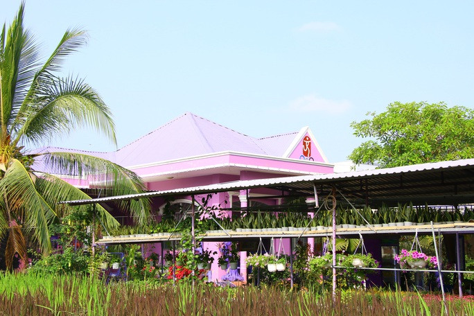 Căn nhà ông Tiếp xây gần 1 tỷ được bao phủ sắc tím từ cổng vào, màu sơn tường, nội thất cho đến những vật dụng nhỏ quanh nhà...Ảnh: FB Thánh Riviu