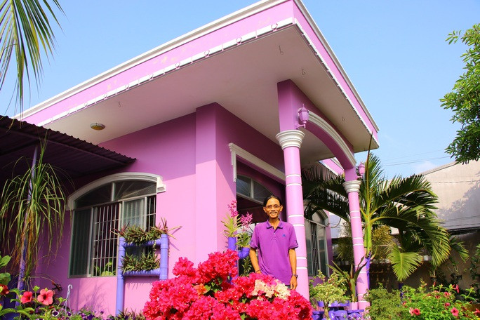 Dành tình yêu đặc biệt cho màu tím nên không chỉ trồng hoa, lão nông Trần Văn Tiếp còn phủ sắc tím cho ngôi nhà để thoả mãn niềm đam mê. Ảnh: Nlđ