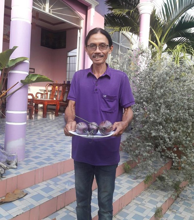 Ngoài căn nhà màu tím, ông Tiếp còn trồng cả dưa hấu tím tí hon. Ảnh: Dân Việt