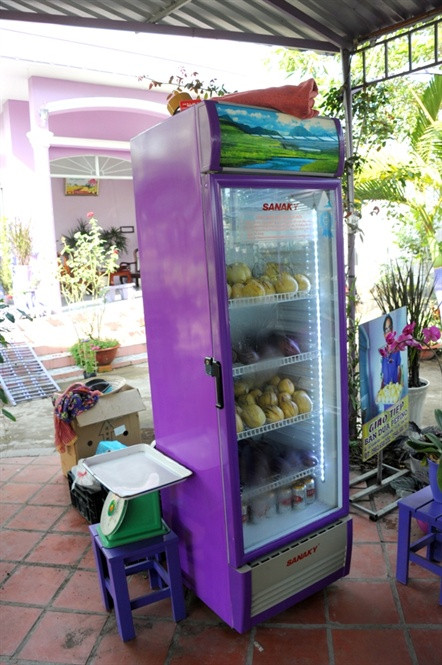 Các vật dụng trong nhà như phích nước uống trà, tủ lạnh... cũng được ông dành trọn cho màu tím. Ảnh: Dân Việt