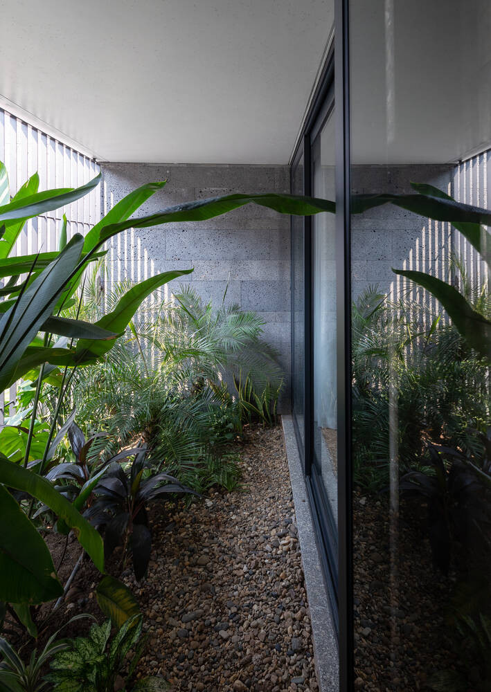 Khu vực ban công được tận dụng trồng cây xanh. Nguồn: Triệu Chiến