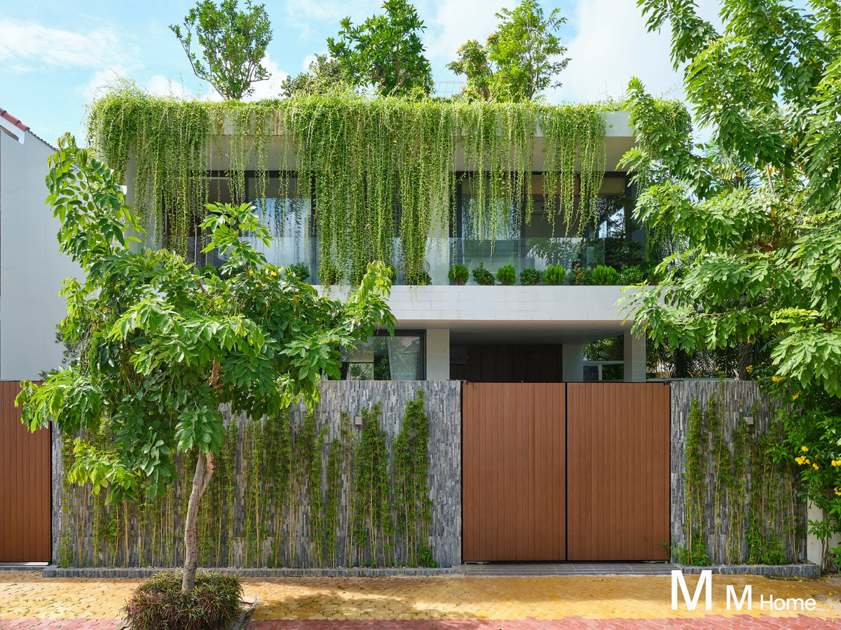 Toạ lạc tại thành phố Phan Thiết, Bi House là ngôi nhà 3 tầng được xây dựng trên mảnh đất 15 x 20m bằng những phương pháp thiết kế sáng tạo.