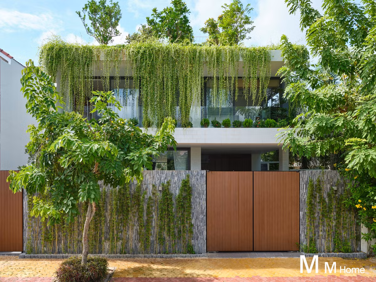 Toạ lạc tại thành phố Phan Thiết, Bi House là ngôi nhà 3 tầng được xây dựng trên mảnh đất 15 x 20m bằng những phương pháp thiết kế sáng tạo.