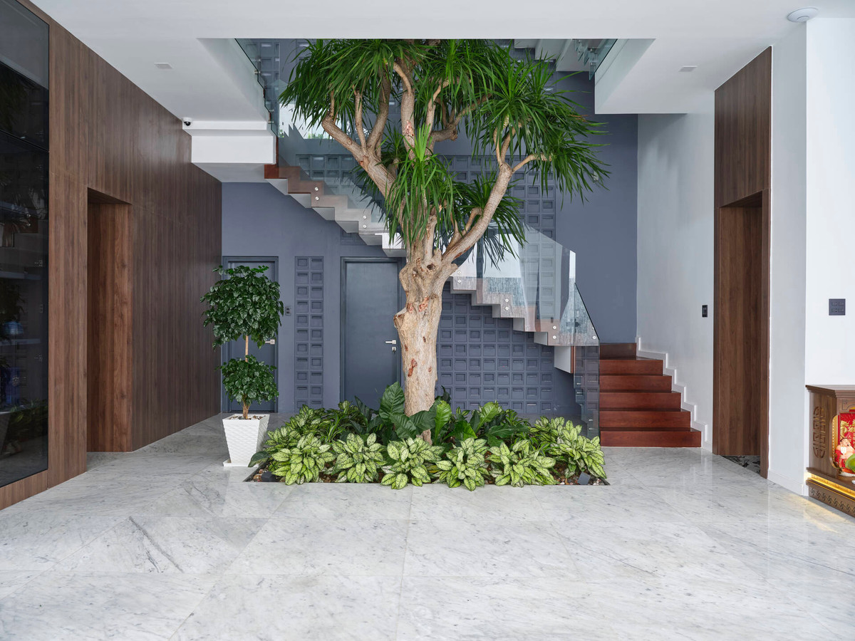 Cây thân gỗ giúp không khí trong nhà được lưu thông hiệu quả.