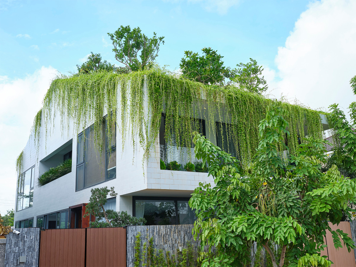 Đáp ứng mong muốn của gia chủ, kiến trúc sư mang đến một không gian nhà 3 tầng tràn ngập sắc xanh.