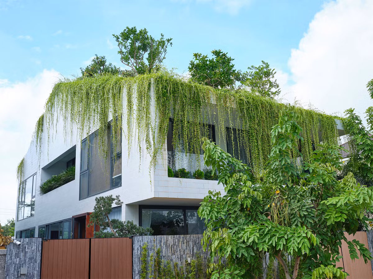 Đáp ứng mong muốn của gia chủ, kiến trúc sư mang đến một không gian nhà 3 tầng tràn ngập sắc xanh.